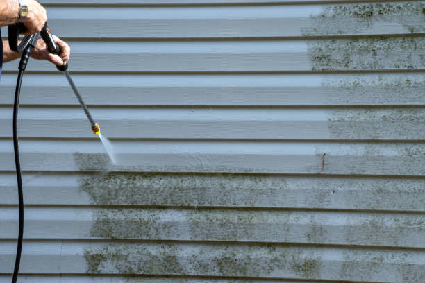 Best Residential Vinyl Siding Installation  in Denmark, WI