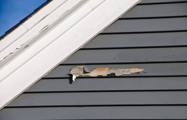 Best Stucco Siding  in Denmark, WI