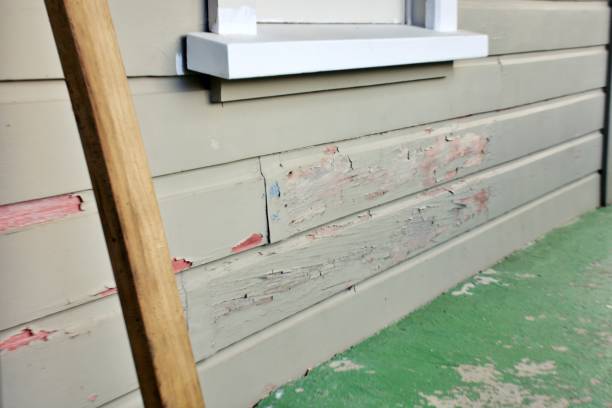 Best Fiber Cement Siding Installation  in Denmark, WI