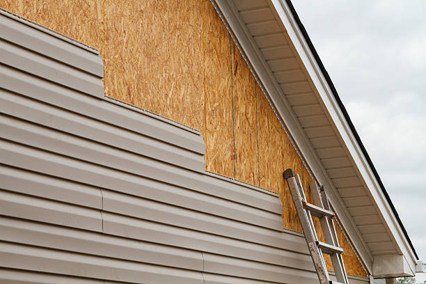 Best Custom Trim and Detailing for Siding  in Denmark, WI